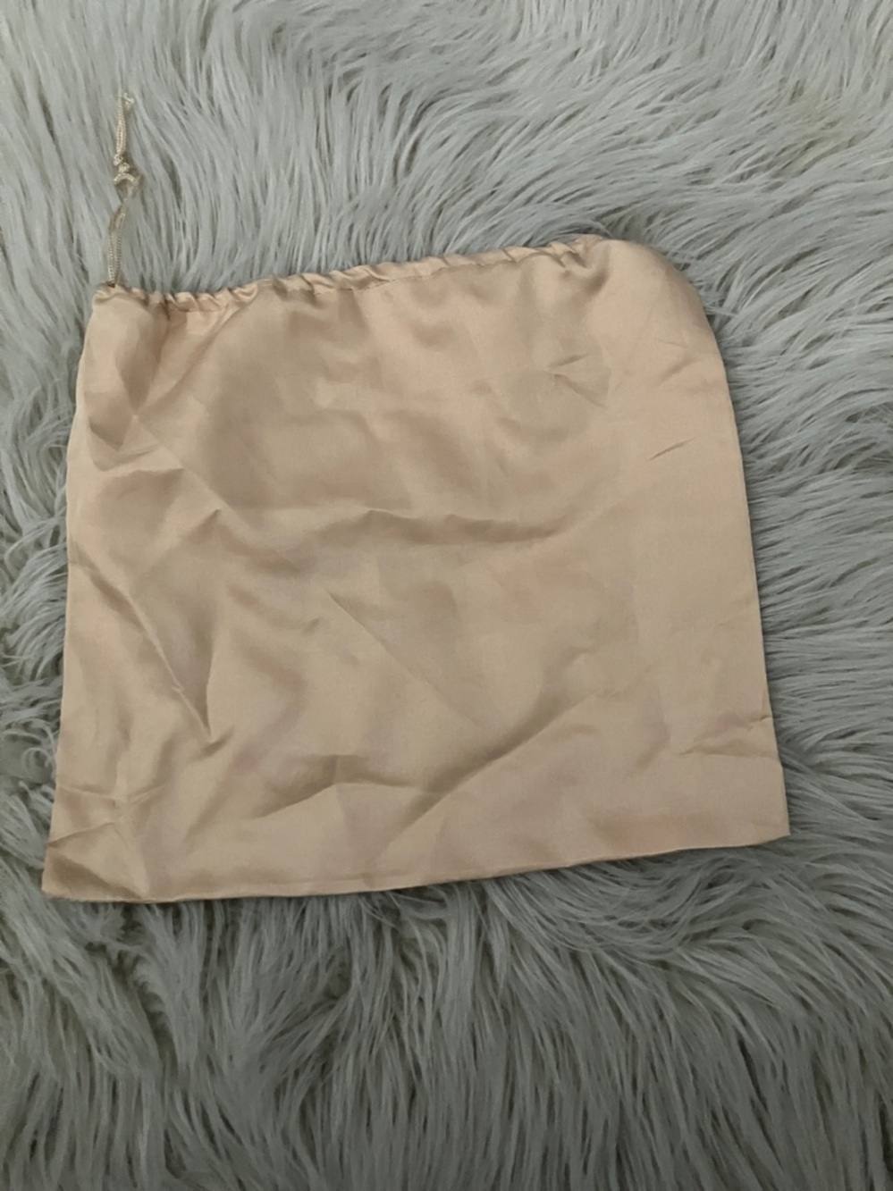 Gucci Beige Dust Bag with Black Logo - Picture 5 of 5